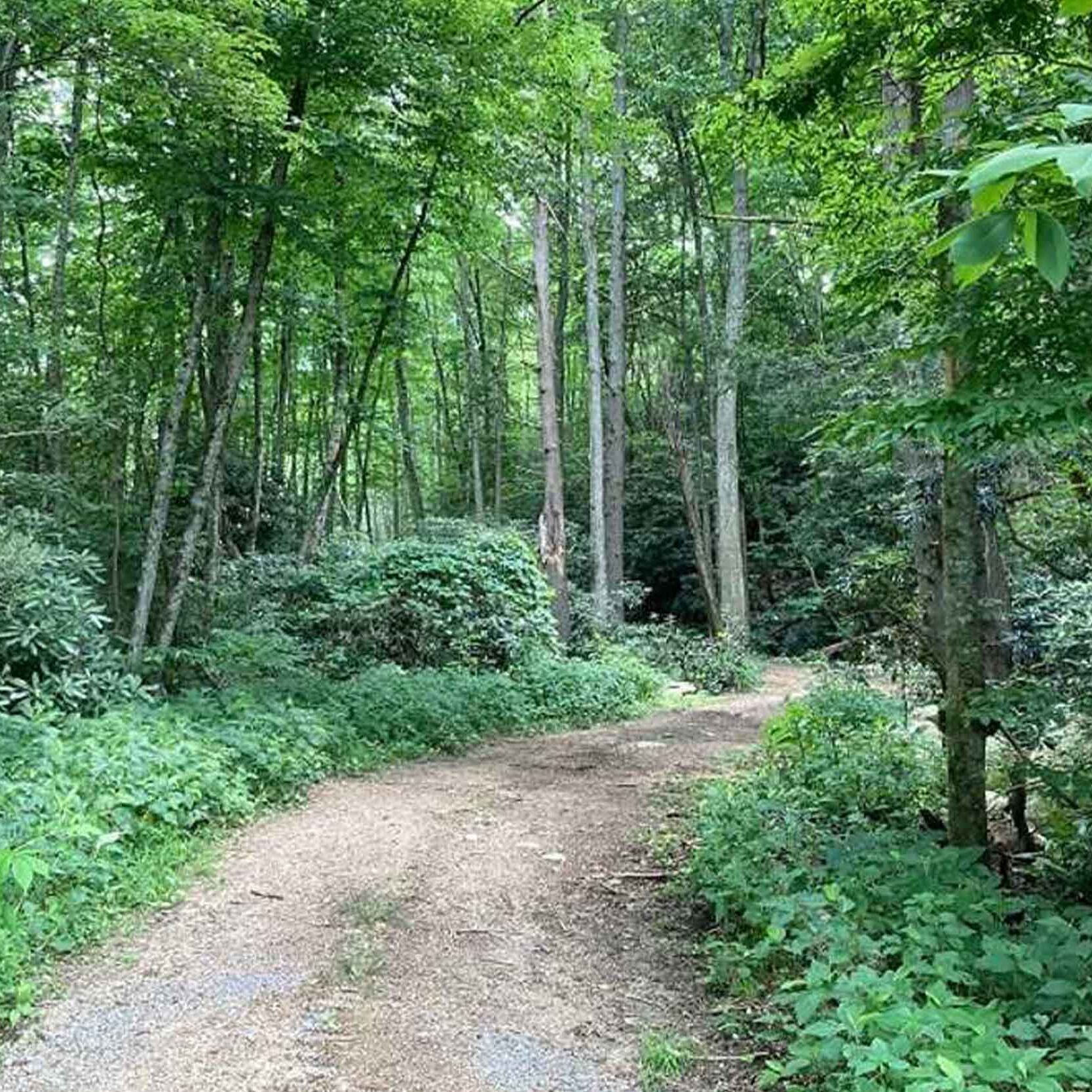 cropped cropped 12d Hiking Trail 2 Watermarked